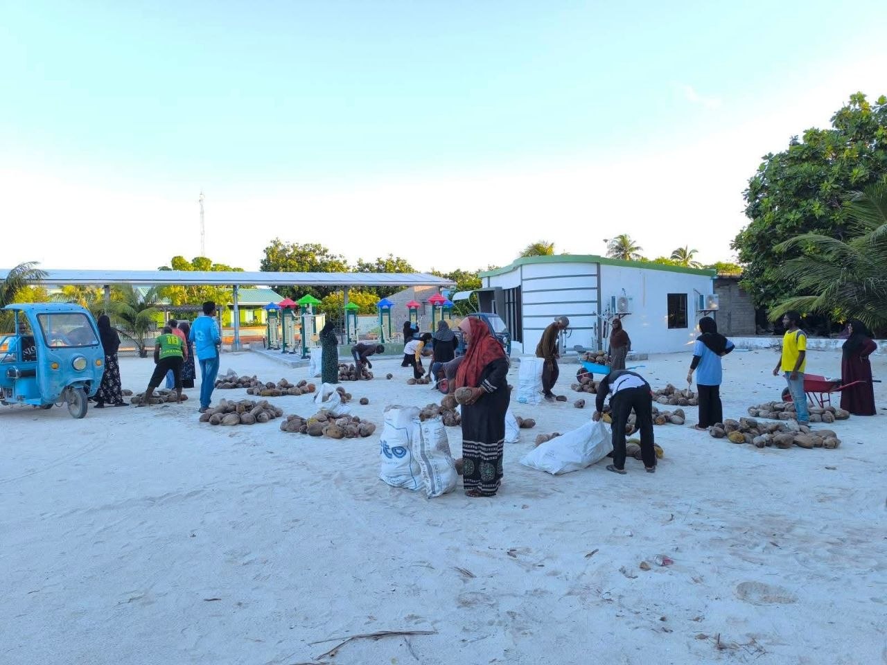 ރ. ވާދޫ ރައްޔިތުން ނިކުމެ، 5,500 އަށްވުރެ ގިނަ ކާށި ހޮވައިފި