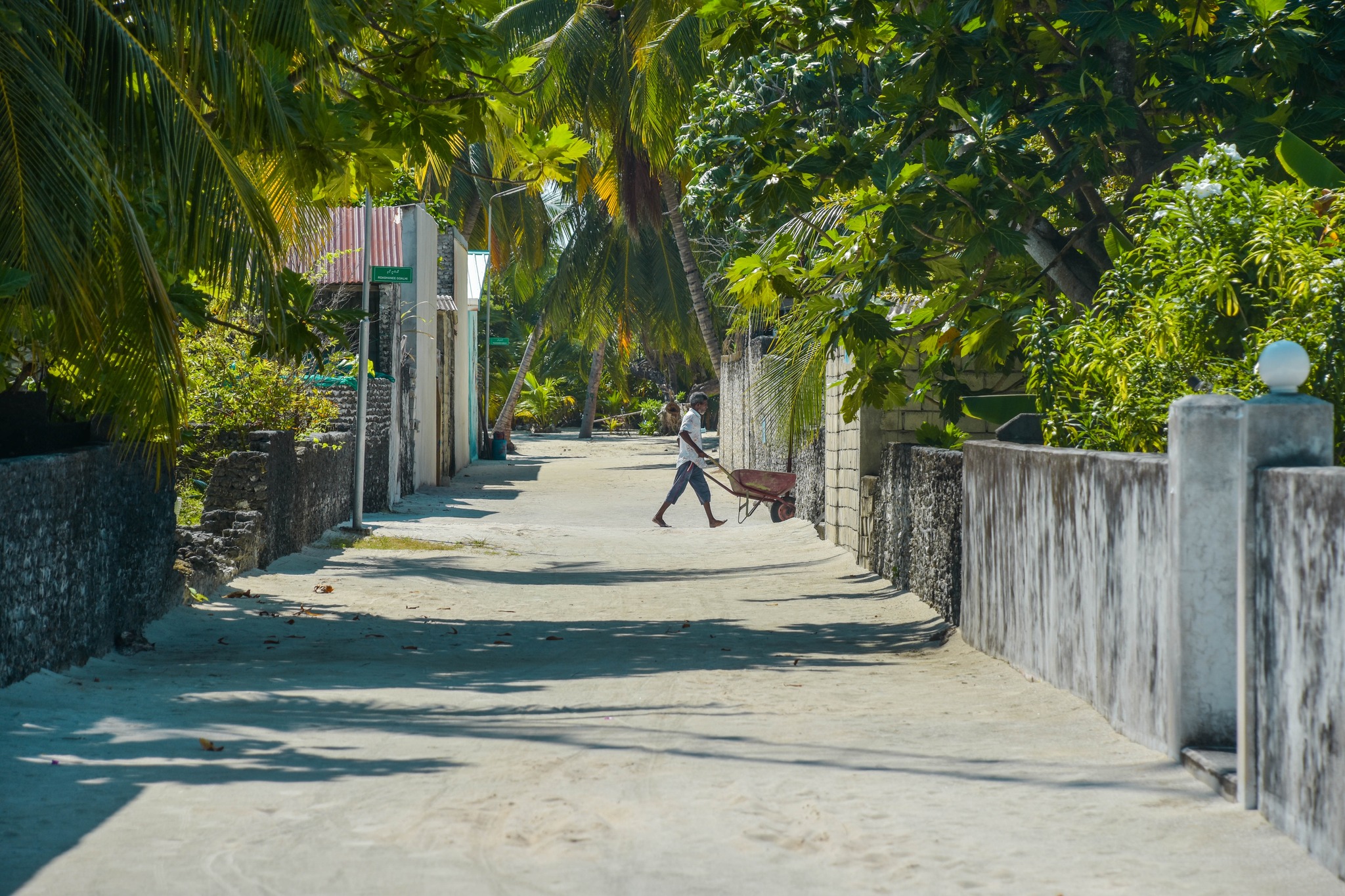 ރ. ވާދޫގައި ދިރިއުޅެން ބަންޑާރަ ގޯތި ދޫކުރަނީ