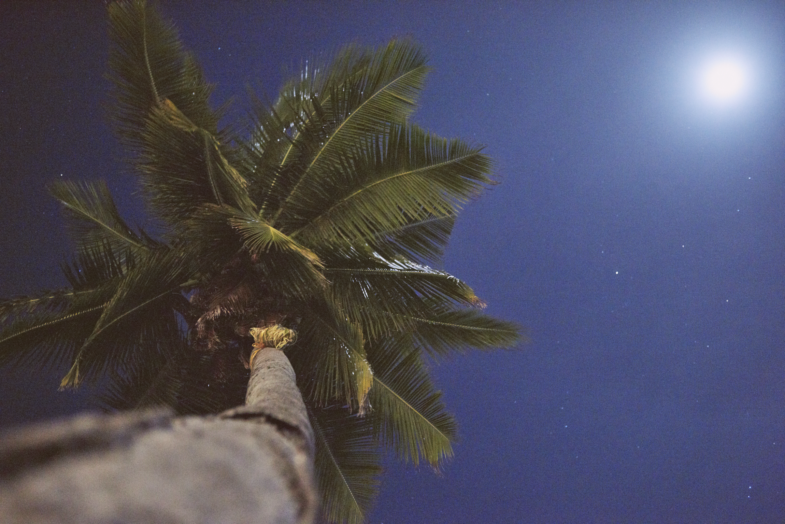 ރުކަށް ނެގި ކޯޑި ފަންގަނޑު ކަނޑާލީ ކާކު؟