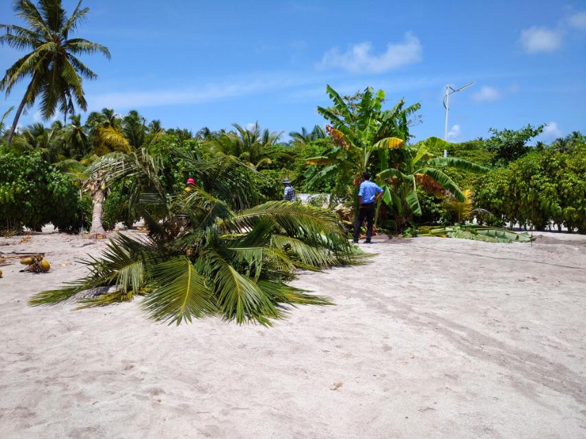 ވާދޫ ސިއްހީ މަރުކަޒަށް އިތުރުކުރާ އިމާރާތް އެޅުމަށް ބިން ސާފުކުރަނީ