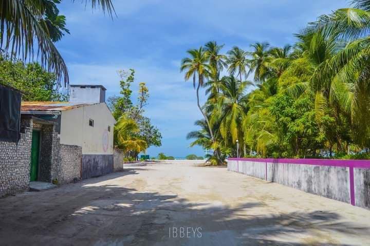 އިންޖީނު ގޭގައި ގޮވީ ބެޓެރިއެއް، ނުރައްކަލެއް ނެތް: ފެނަކަ