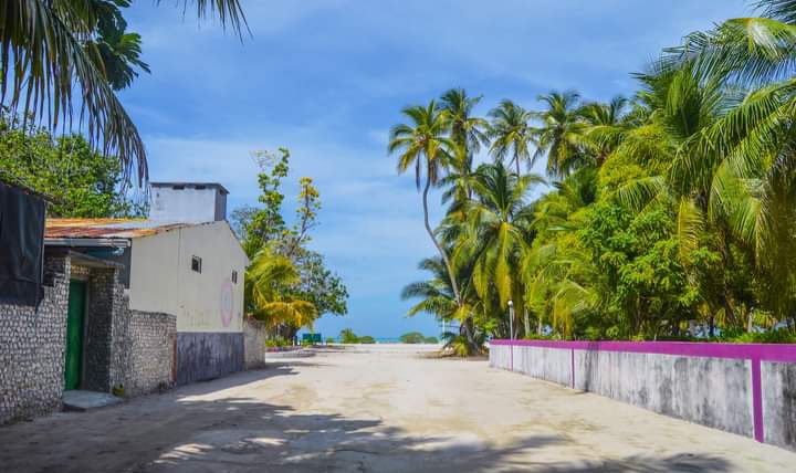 ވާދޫ އައު އިންޖީނުގެ އިމާރާތްކޮށްދޭނެ މީހުން ހޯދަނީ!
