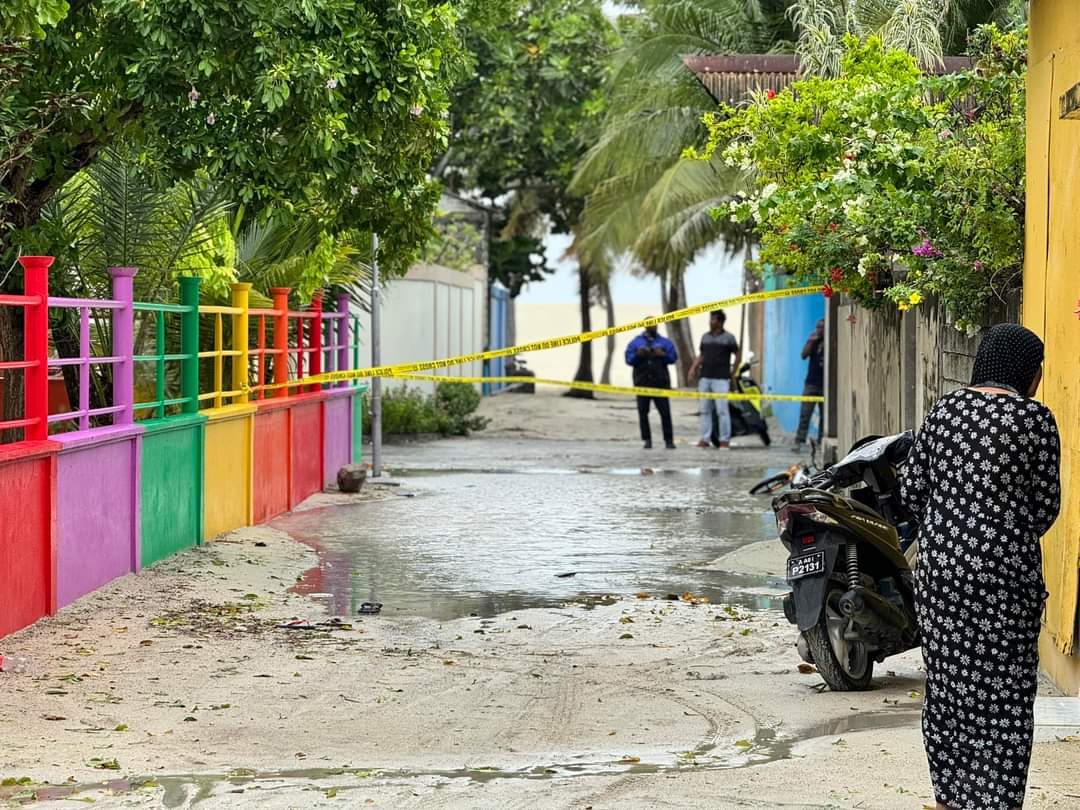 މަގު ބައްތި ދަނޑިއަކުން ކަރަންޓުގައި ޖެހުނު ތިން ކުއްޖަކަށް ފަރުވާދެނީ