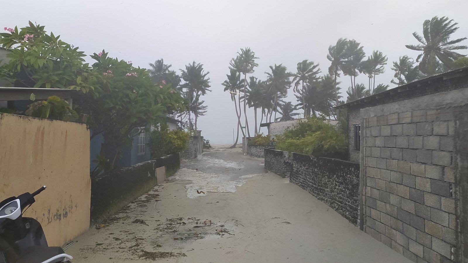 މޫސުން: ވިއްސާރަކޮށް އުދަ އަރާނެ ކަމަށް ލަފާކުރެވޭ!